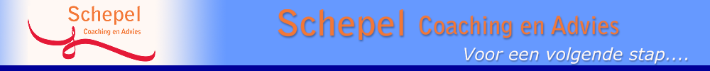 schepel coaching en advies kop